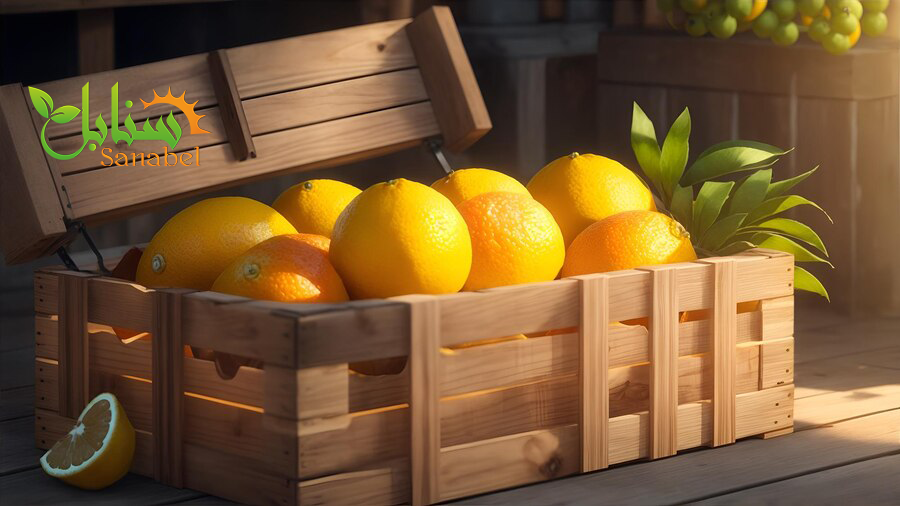 How to Choose a Reliable Fruit Exporter