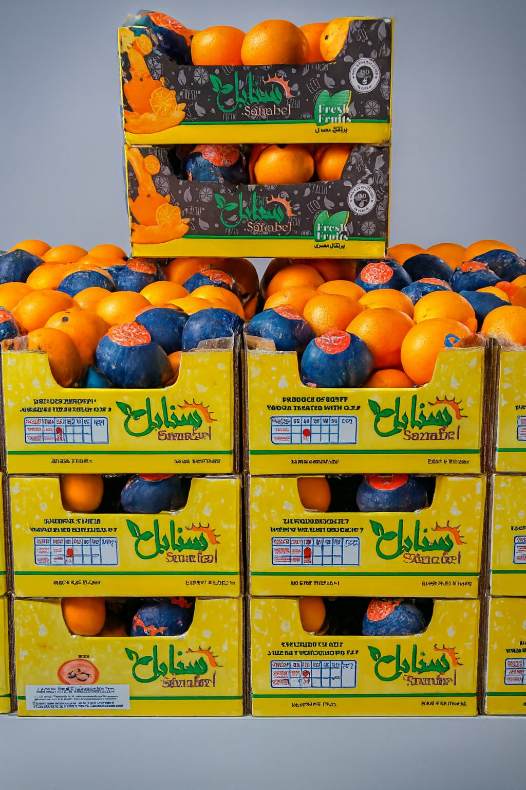 Copilot_20251222_002247