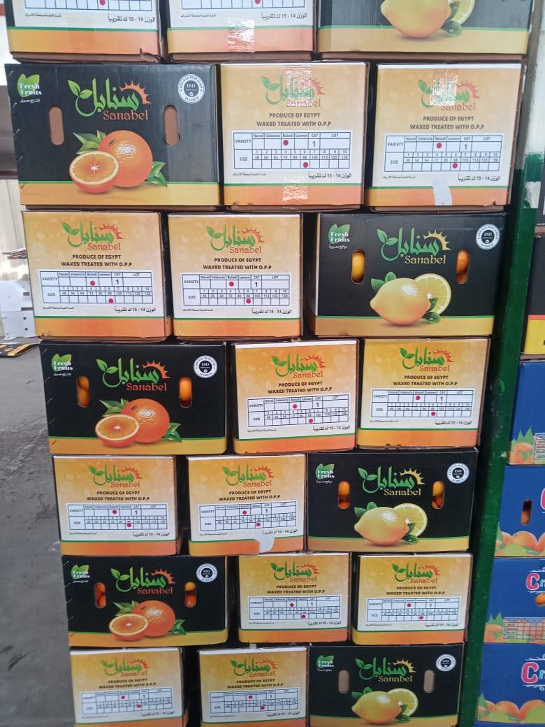 Sanabel is one of the leading exporting company for fruits in Egypt. We have been in this business for 2 years as exporters .