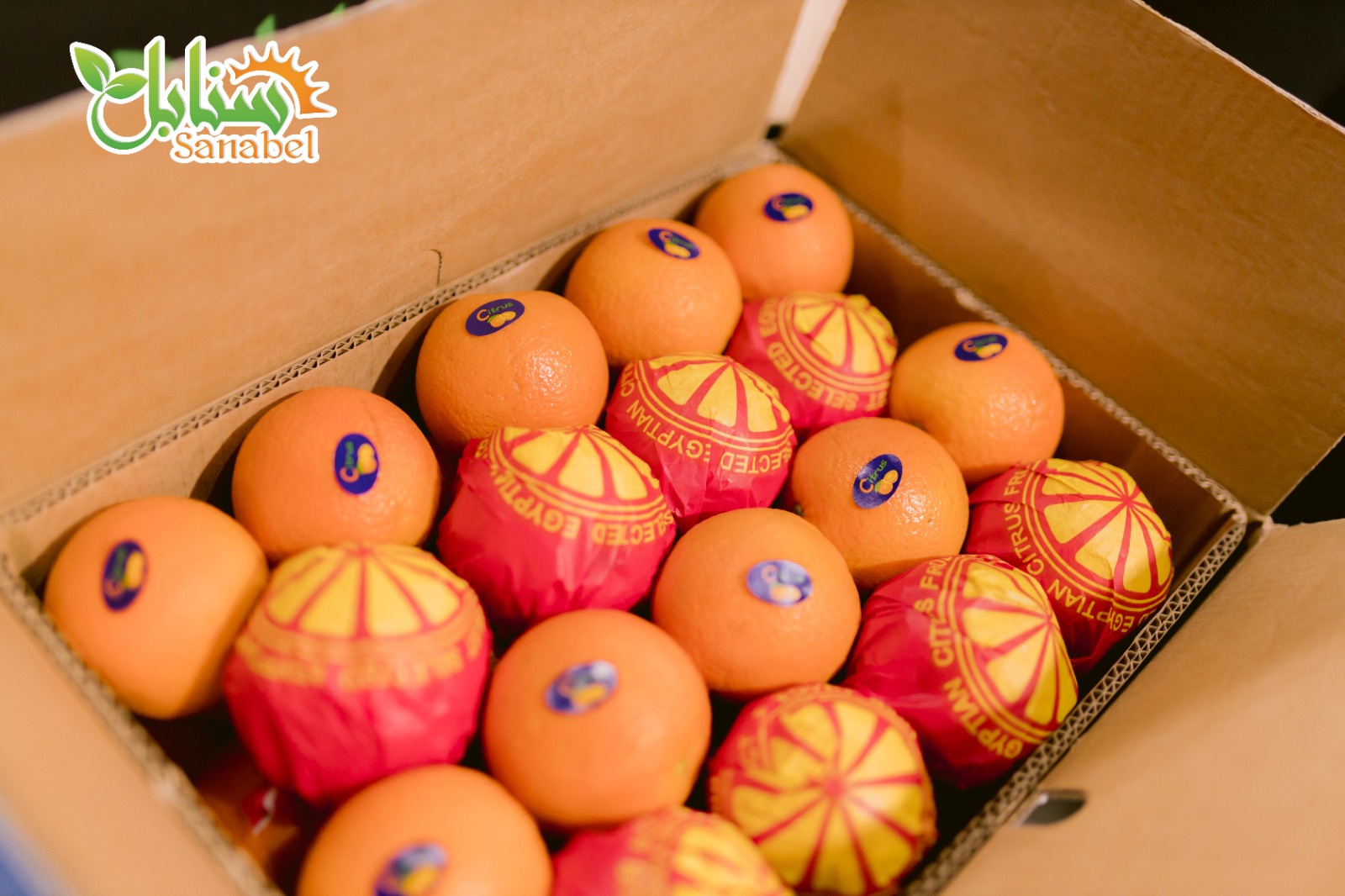 The Role of Quality Standards in Fresh Fruit Export