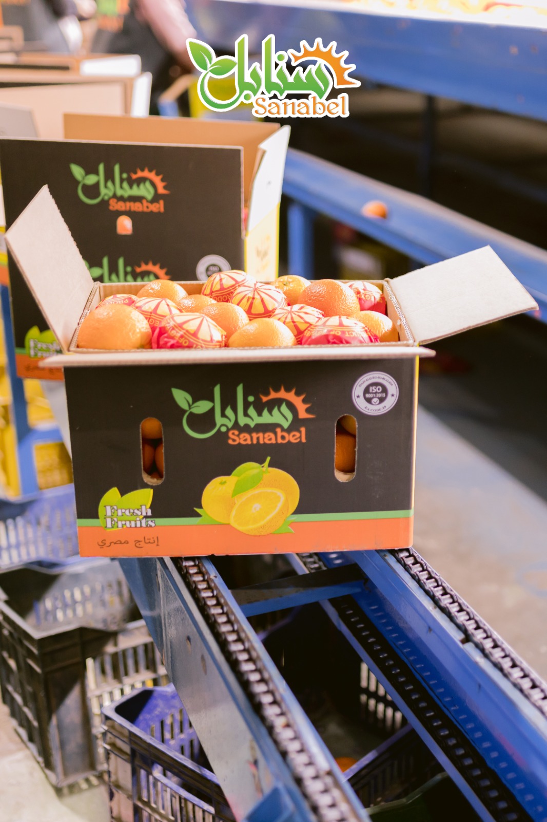 How to Reduce Losses During Fresh Fruit Transportation