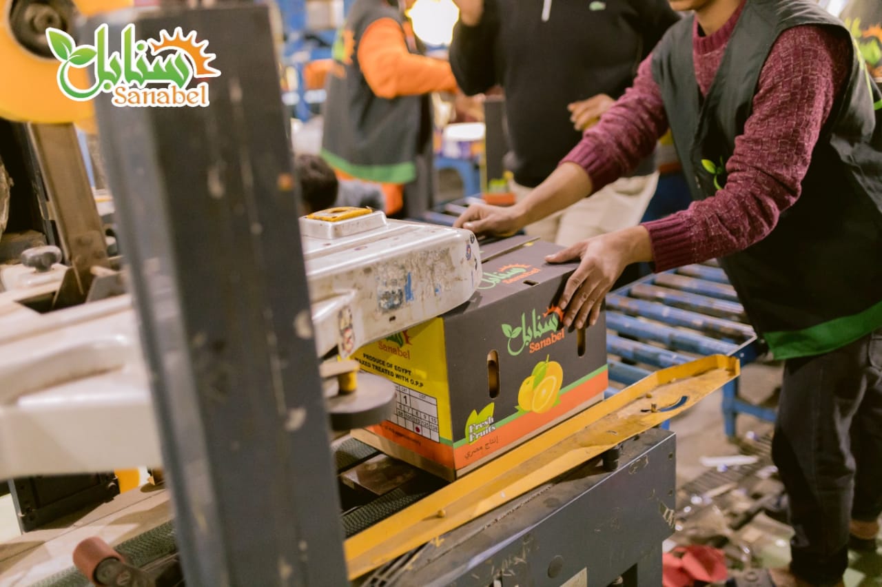 WhatsApp Image 2026-01-29 at 11.04.54 PM (2)