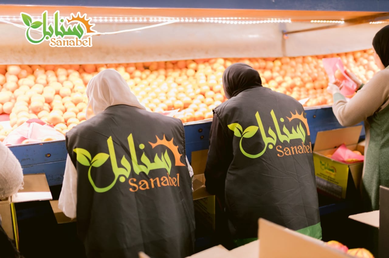 WhatsApp Image 2026-01-29 at 11.04.56 PM (1)