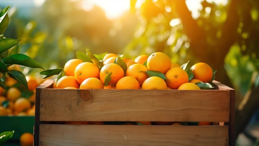 The Role of Quality Standards in Fresh Fruit Export